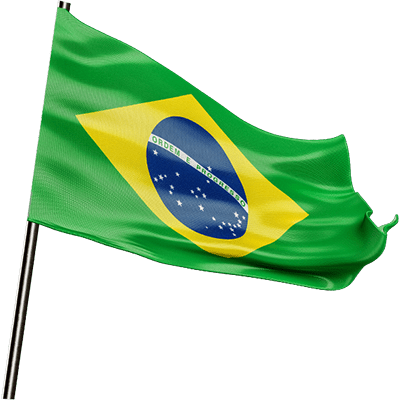 Bandeira Pequena (1,00m x 0,70cm)