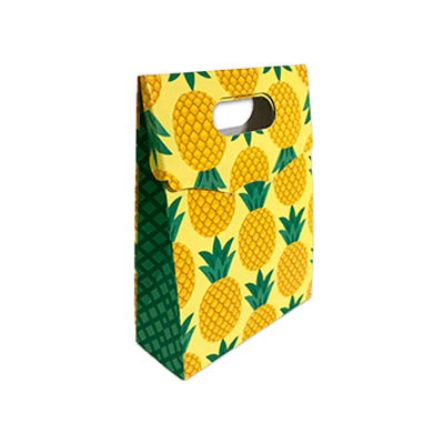 Sacola de Presente